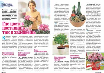 Цветы энергетические вампиры Цветы энергетические вампиры